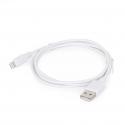 CC-USB2-AMLM-2M-W