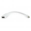 N-CABLE-1107-0.2 Mini Displayport til HDMI adapter kabel længde 15 cm