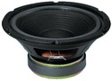 SP-250P Bas 10" 8 Ohm 100W Produktbillede