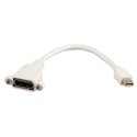 N-CABLE-1105-0.2 MINI DISPLAYPORT - DISPLAYPORT ADAPTER