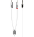 W52092 CAB Y Adapter Cable fra iPod / iPhone til hjemmeanlæg
