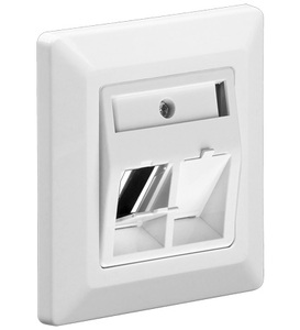 W95902 NET Keystone Faceplate 80x80 2 port