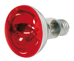 BN203941 Reflektorlampe, rød, R80 60W E27