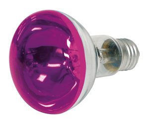 BN203943 Reflektorlampe, violet, R80 60W E27