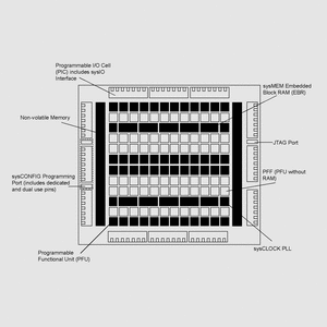 LFXP3C-4TN100 3,1KLUTs 62I/O 360MHz TQFP100 FLXP Block Diagram