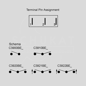 C3922BEAAA Switch 1-Pol 10A moment (ON)/OFF/(ON) Forseglet C39_BE