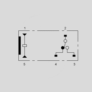 G6RN1-5 1 x skifte relæ 5VDC 8A 114R P3,2 Pin Board