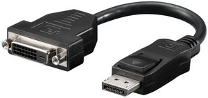 W69873 DVI adapter, DVI-D - Displayport F/M