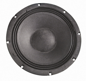 BN201849 PA Subwoofer 8R 12"