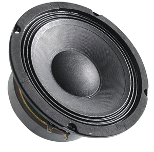 BN201849 PA Subwoofer 8R 12"