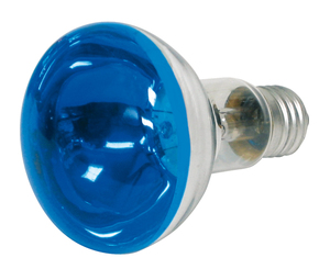 BN203938 Reflektorlampe, blå, R80 60W E27